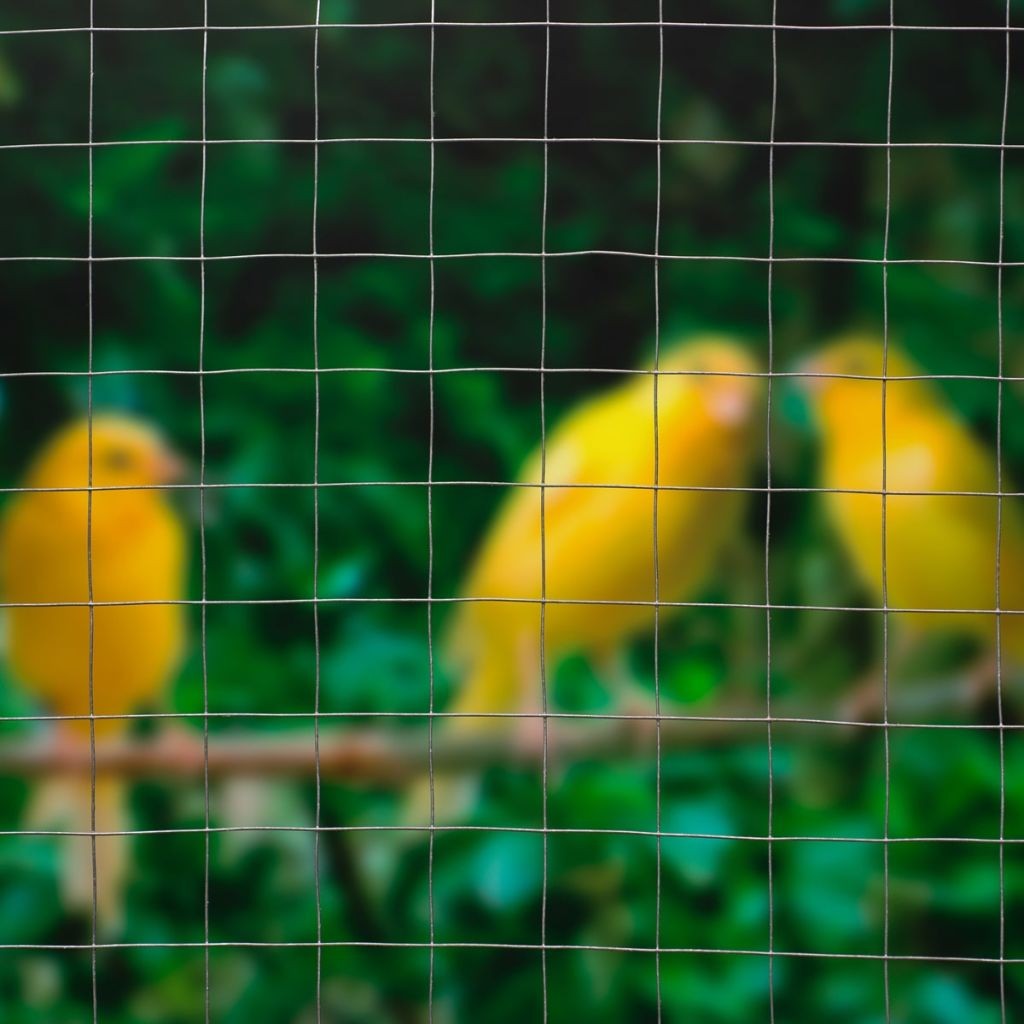 Nature Wire Mesh Square 1x2.5 m 13 mm Galvanised Steel